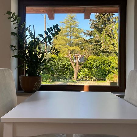 I Gatti E La Volpe B&B Budrio  Exterior foto